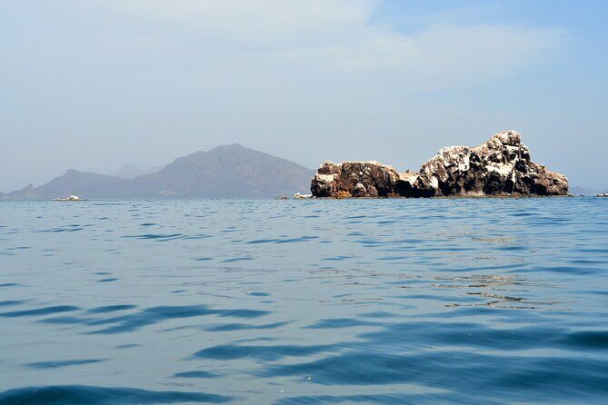 Boating along the coastline of San Carlos with a Marine Biologist - FAQ