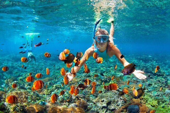 Boatride & Snorkeling then Margaritaville Hipstrip Activity - Key Points