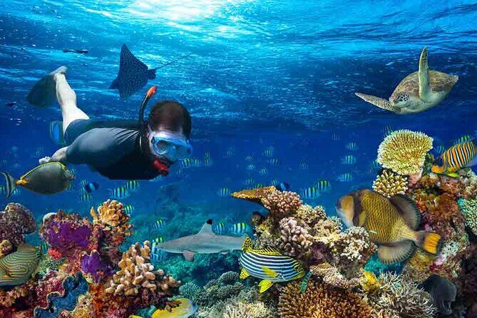 Boatride & Snorkeling then Margaritaville Hipstrip Activity - FAQ