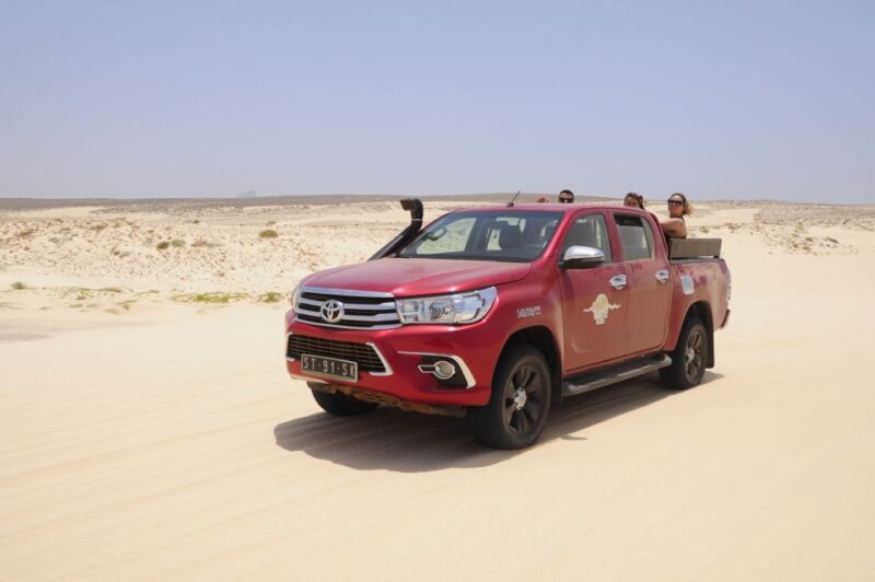 Boavista: Turtle, Shark, Santa Monica, Sandboard & Tasting - Practical Tips for Travelers