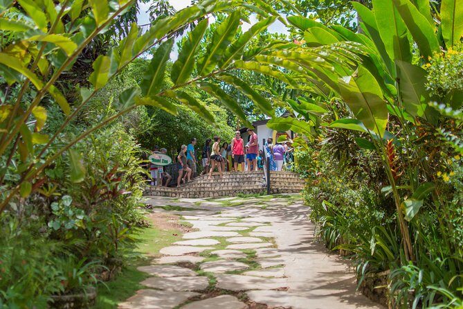 Bob Marley 9 Mile Tour Admission - The Price and Its Value