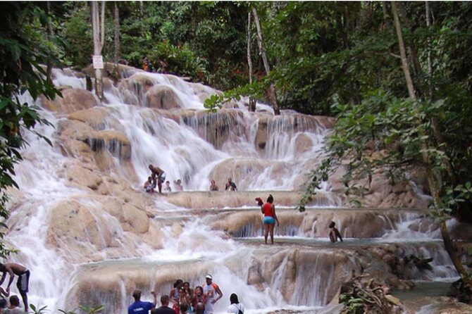 Bob Marley Nine Mile and Dunn's River Falls Tour From Montego Bay - The Sum Up