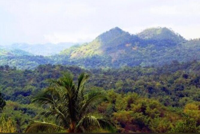 Bob Marley Nine Mile Home Private Tour from Montego Bay - Exploring Bob Marley Nine Mile: A Private Tour from Montego Bay