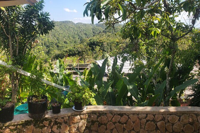 Bob Marley Nine Mile Home Private Tour from Montego Bay - Final Thoughts: Who Should Book This Tour?