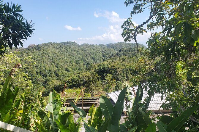 Bob Marley Nine Mile Home Private Tour from Montego Bay - In The Sum Up