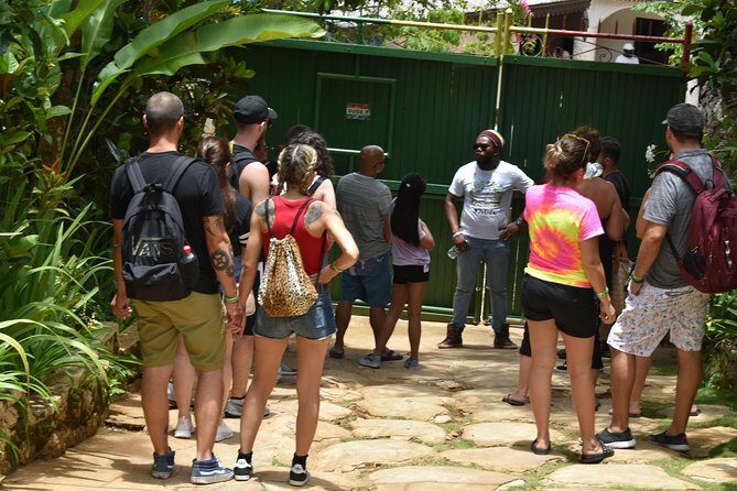 Bob Marley's Nine Mile Admission and Guided Tour from Montego Bay - Who Will Love This Tour?