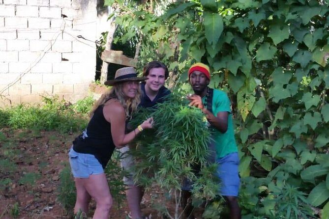 Bob Marley's Nine Mile & Dunns River Falls Tour: Transportation & Ticket - FAQ