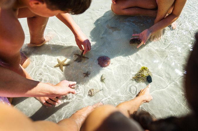 Boca Grande Kayaking Tour - Who Will Love This Tour?