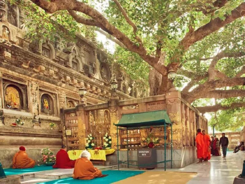 Bodhgaya: Buddhist Pilgrimage Temple & Monastery Day Tour - Who Will Love This Experience?