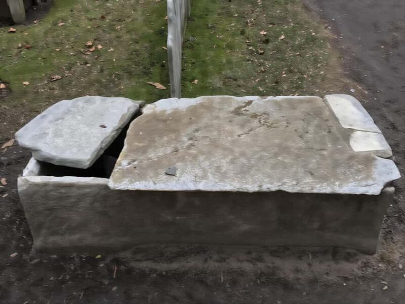 Body Snatchers of New York - Practical Details and Tips