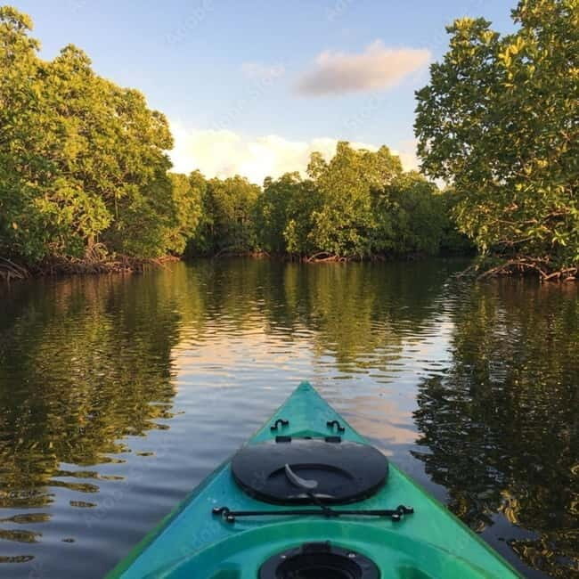 Bohol: Alburquerque Recreational Tour - Key Points