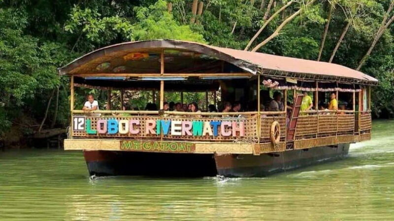 Bohol: Budgeted Countryside with Buffet Lunch Private Tour - The Sum Up