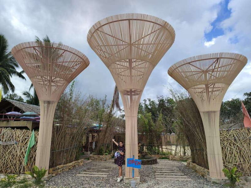 Bohol: Choco Tour & Tarsiers with Lunch - A Detailed Look at the Tour
