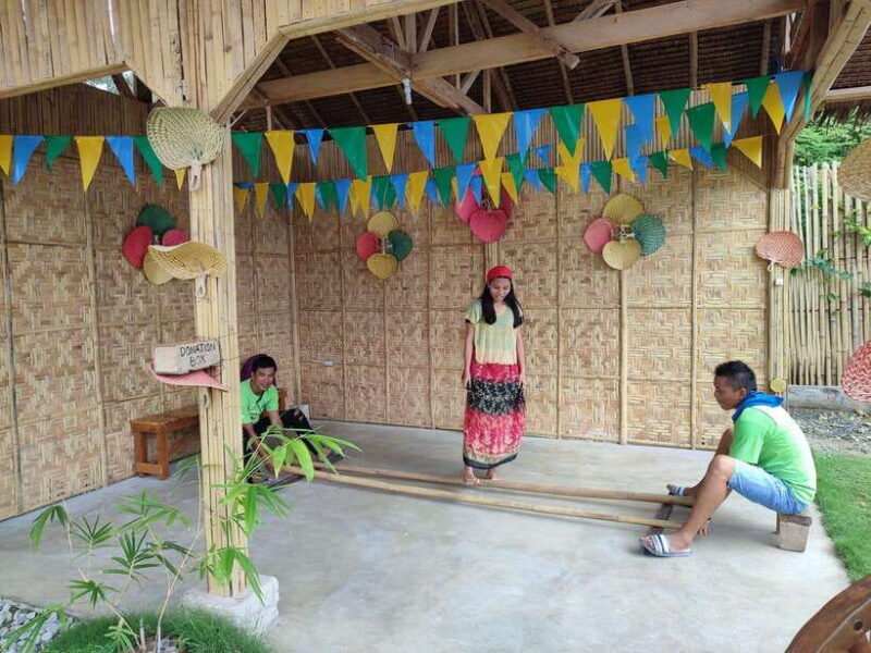 Bohol: Choco Tour & Tarsiers with Lunch - Final Thoughts