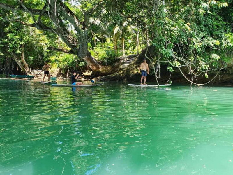Bohol: Chocolate Hills and Countryside Tour - What the Reviews Say