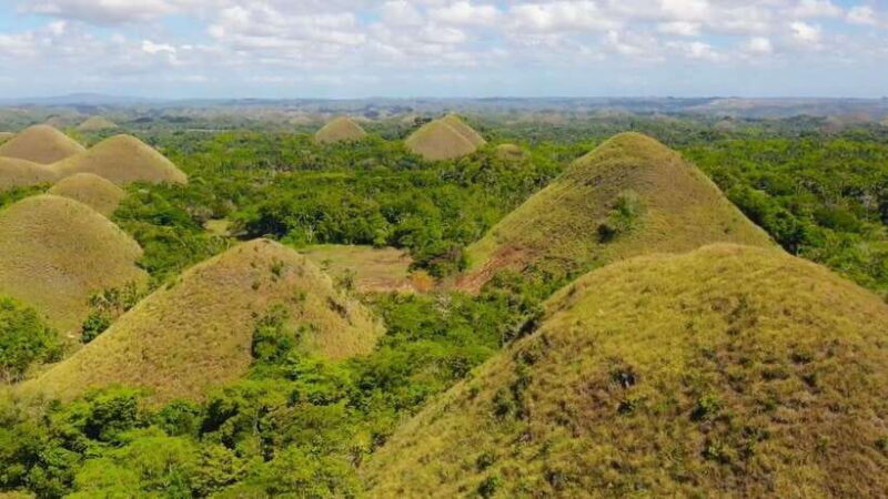Bohol: Chocolate Hills, Loboc River Cruise, and Buffet Lunch - An In-Depth Look at the Experience