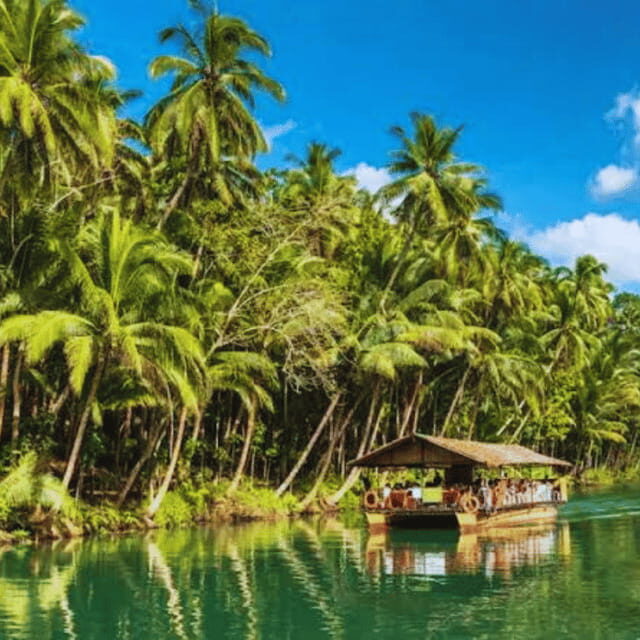 Bohol: Chocolate Hills Tour with Loboc River Cruise & Lunch - Introducing the Bohol Chocolate Hills Tour with Loboc River Cruise & Lunch