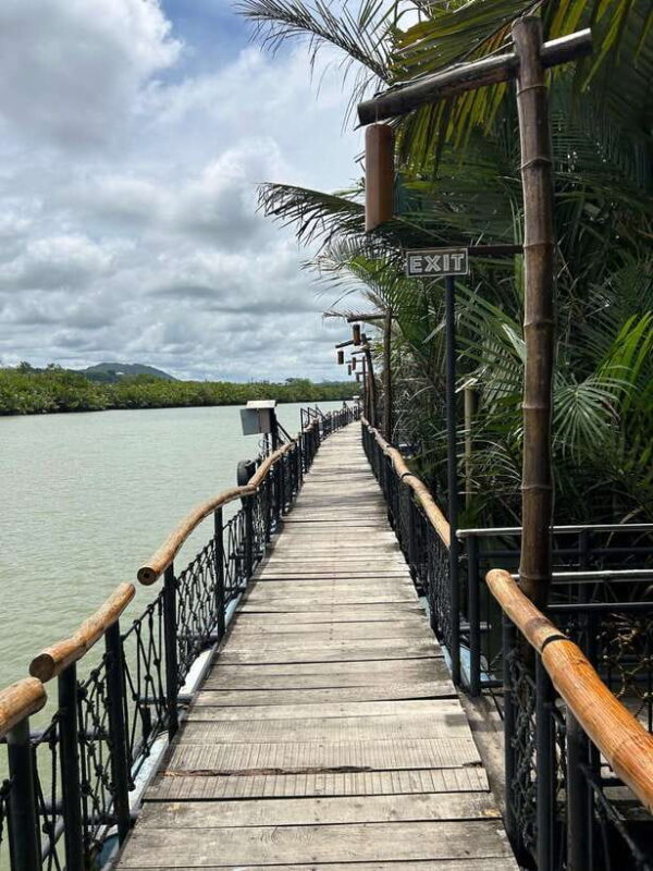 Bohol: Chocolate Hills Tour with Loboc River Cruise & Lunch - Key Points