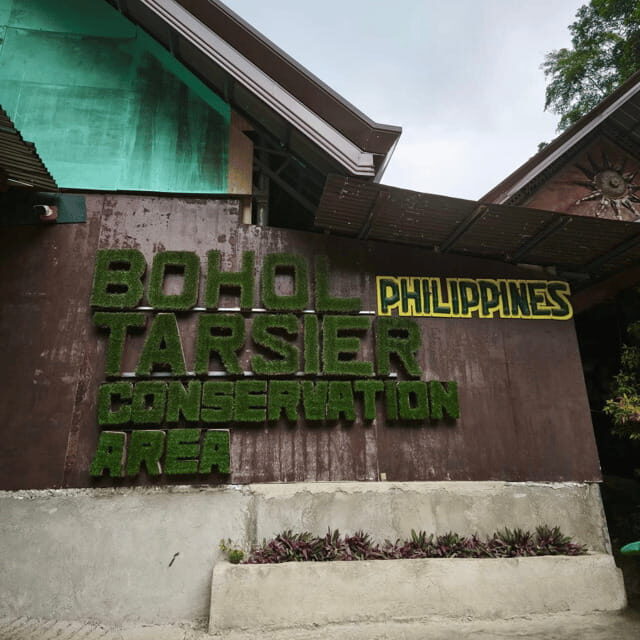 Bohol Chocolate Hills Tour with Loboc River Lunch Buffet - An Introduction to the Bohol Experience