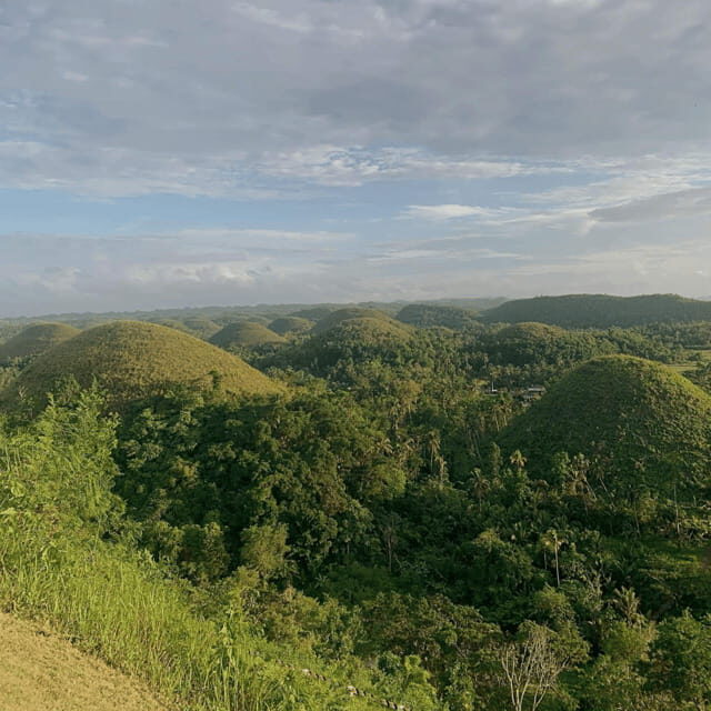 Bohol Chocolate Hills Tour with Loboc River Lunch Buffet - Practical Aspects of the Tour