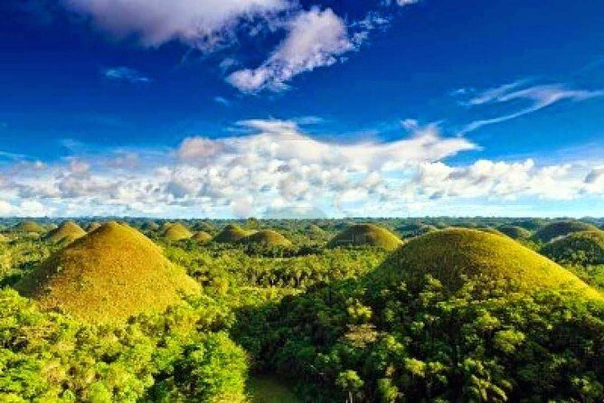 Bohol Countryside Day Tour From Cebu City | Lunch at Loboc River Cruise - Who Should Consider This Tour?