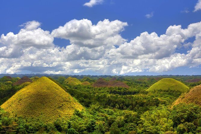 Bohol Countryside Day Tour From Cebu City | Lunch at Loboc River Cruise - Frequently Asked Questions (FAQs)
