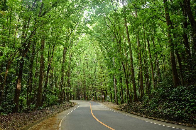 Bohol Countryside Day Tour from Cebu City or Mactan - Best Seller - A Detailed Look at What’s Included and the Experience