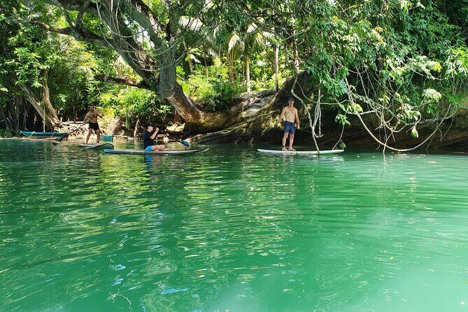Bohol Countryside Tour: Chocolate Hills, Tarsier and Loboc River - The Sum Up