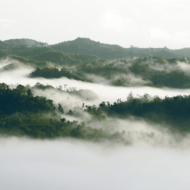 Bohol: Danao Adventure with The Plunge - An Authentic Adventure Experience in Bohol