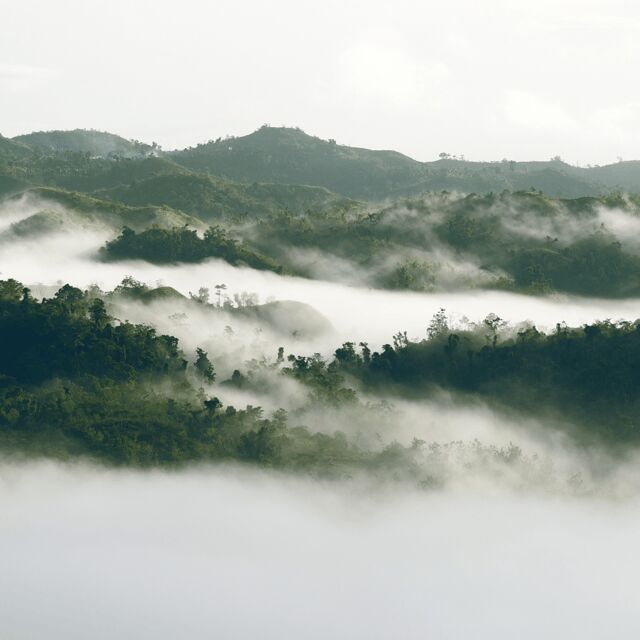Bohol: Danao Adventure with The Plunge - Why This Tour Stands Out