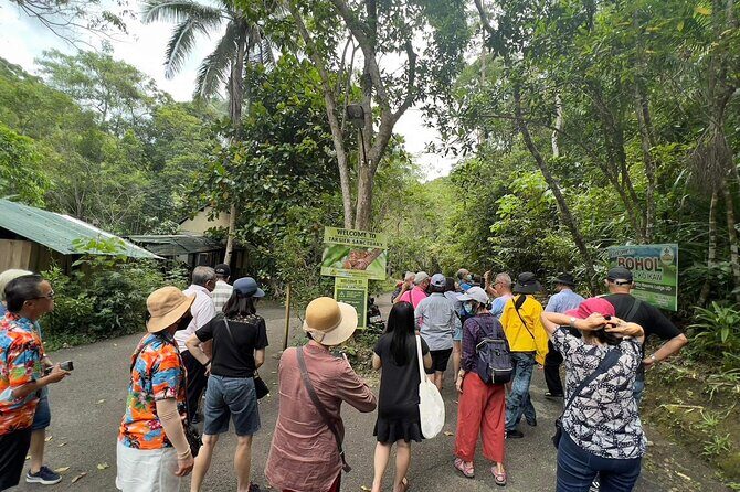 Bohol Day Tour with Round-Trip Transfers from Cebu - The Breakdown of the Itinerary