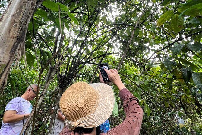Bohol Day Tour with Round-Trip Transfers from Cebu - Who Will Love This Tour?