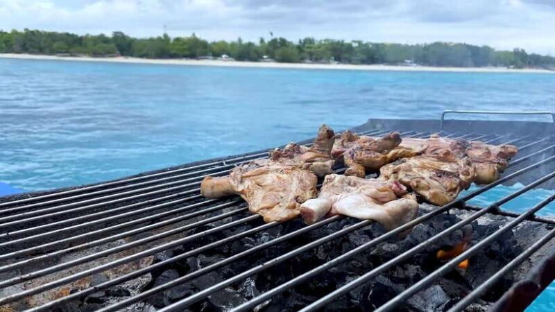 Bohol: Dolphin Watching & Snorkeling at Balicasag Island - The Experience in Detail