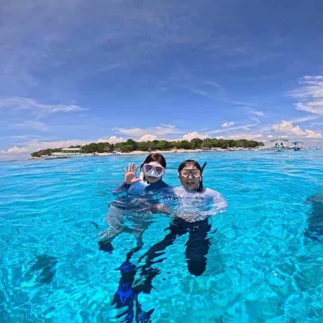BOHOL: Dolphin Watching, Turtle Swim and Island Party - Exploring Bohol’s Dolphin Watching, Turtle Swim, and Island Party Tour