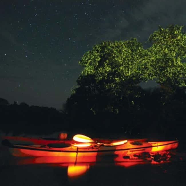 Bohol: Firefly Watching Shared Tour - A Calm, Enchanting Night in Bohol