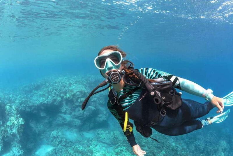 Bohol: First-Time Scuba Dive - No Experience Needed - Key Points