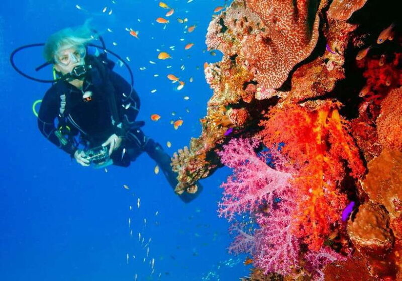 Bohol: First-Time Scuba Dive - No Experience Needed - What to Expect From the Tour