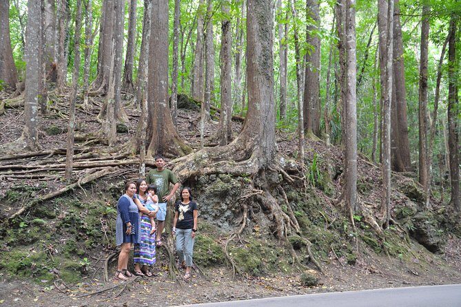 Bohol Island Countryside Tour with Buffet Lunch River Cruise (Cebu or Bohol) - Real Traveler Insights