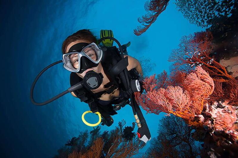 Bohol island: Fun dive local dive - Itinerary Breakdown: What to Expect Each Step of the Way