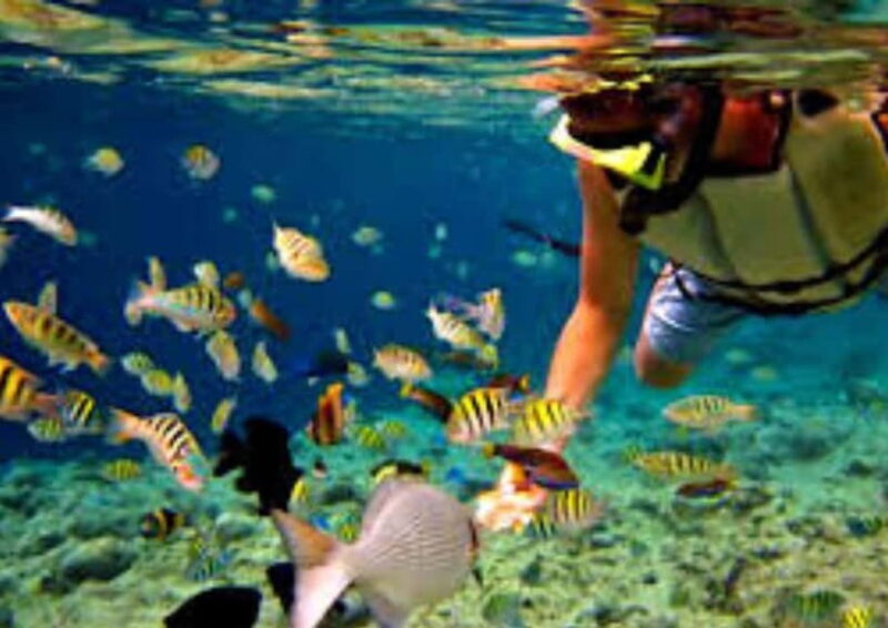 Bohol Island Hopping Tour - Introduction to the Bohol Island Hopping Tour