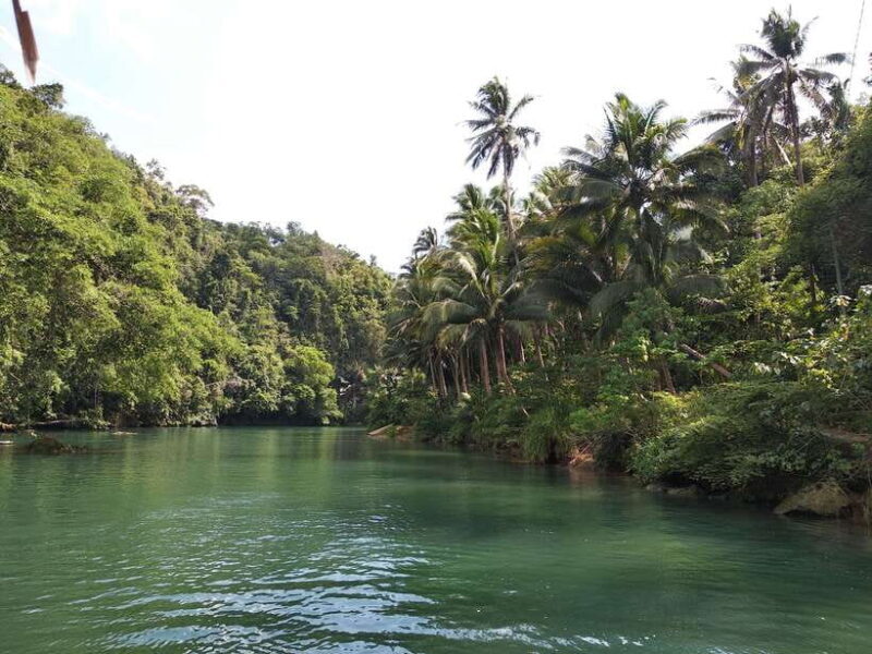 Bohol: Loboc River Buffet-Lunch Cruise with Private Transfer - Key Points
