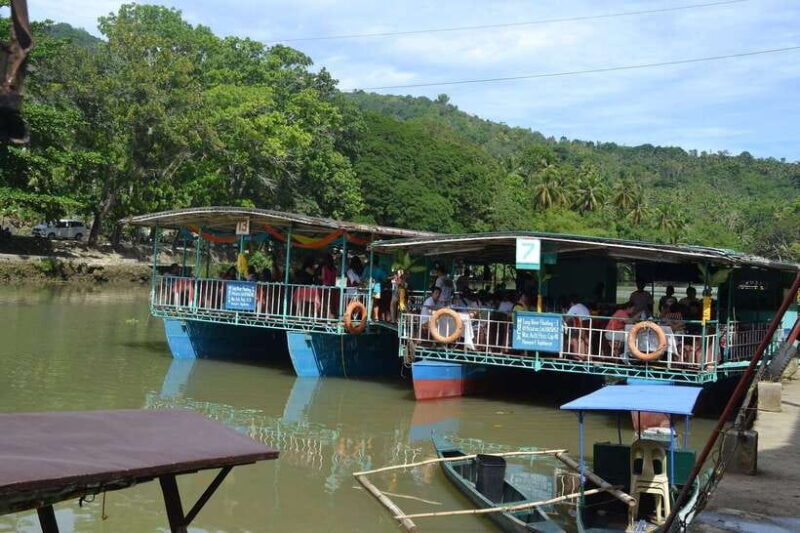 Bohol: Loboc River Buffet-Lunch Cruise with Private Transfer - A Detailed Look at the Experience