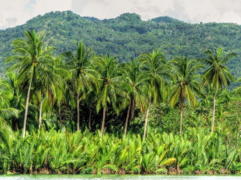 Bohol: Loboc River Buffet-Lunch Cruise with Private Transfer - Frequently Asked Questions