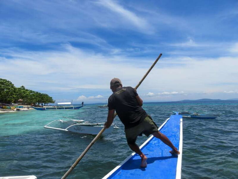 Bohol: Pamilacan Island Dolphin/Turtle Watching Tour & Lunch - Practical Details and Value Analysis