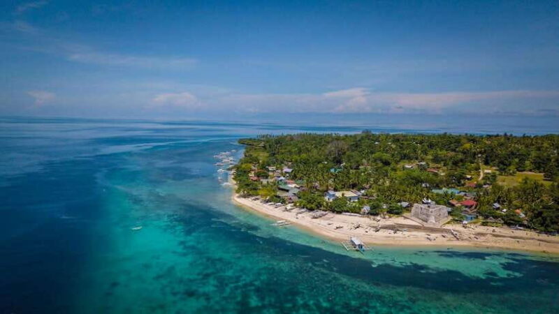 Bohol: Pamilacan Island Dolphin/Turtle Watching Tour & Lunch - FAQ