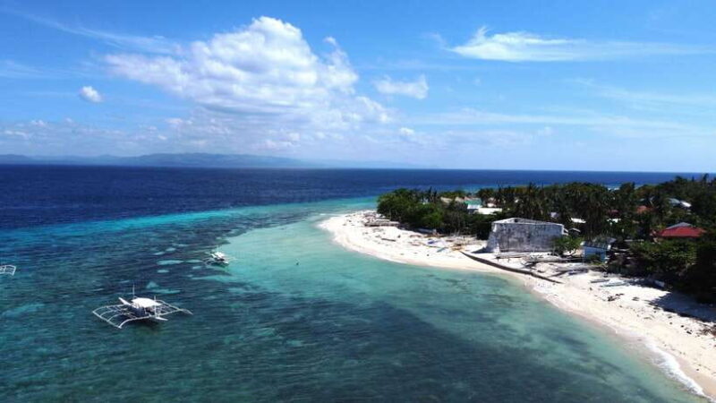 Bohol PAMILACAN Island Turtle & Dolphin Watching - FAQ