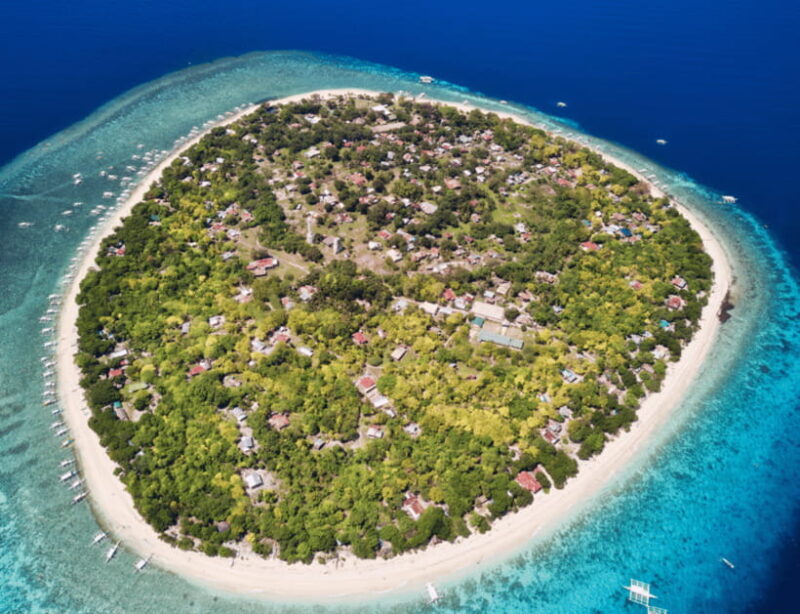Bohol: Panglao Island Hopping & Dolphin Watching Tour - An In-Depth Look at the Tour