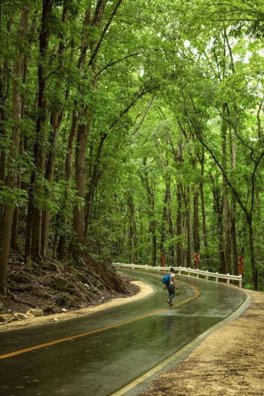 Bohol: Premium Chocolate Hills, Tarsiers & River Experience - What to Keep in Mind