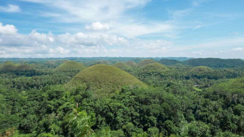 Bohol: Private Countryside Tour with Buffet Lunch - Key Points
