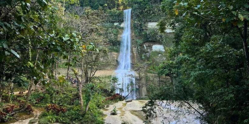 Bohol Private Tour Anda, Candijay & Alicia Panoramic Park - Final Thoughts